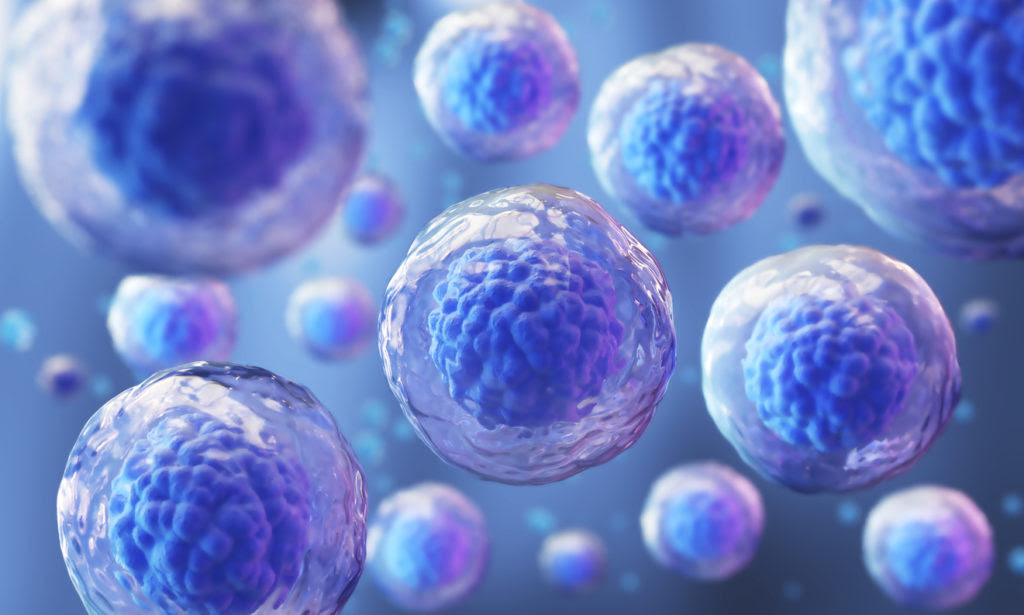 Amniotic Fluid Amniotic Fluid
